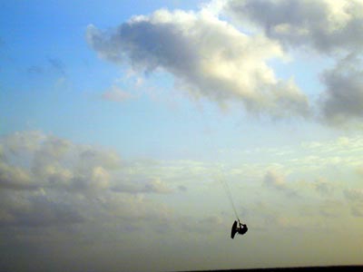 [photo]