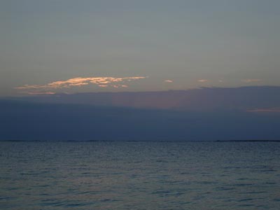 [photo]