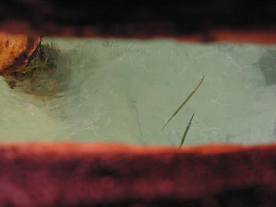 [photo]