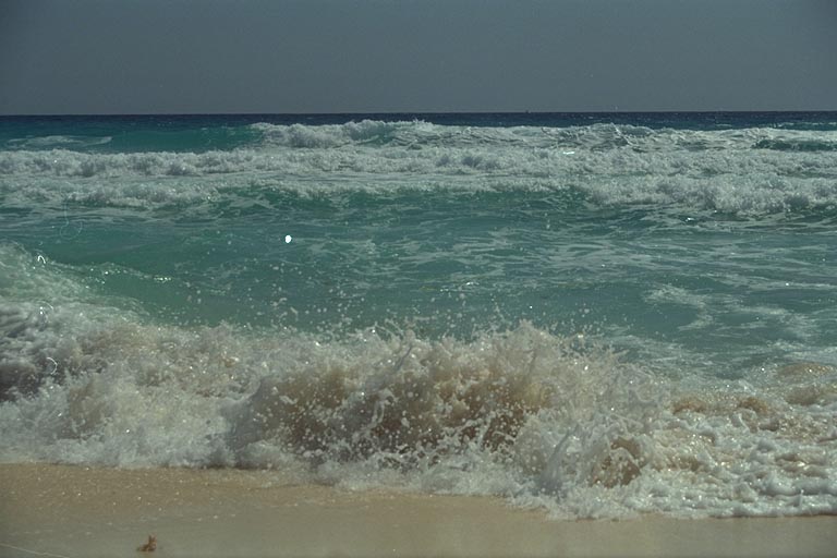 [photo]