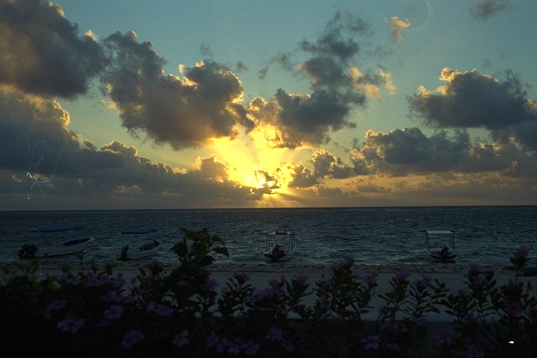 [photo]