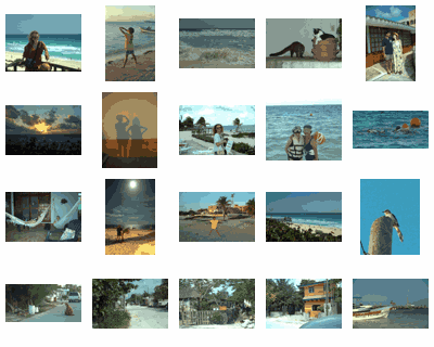 contact sheet