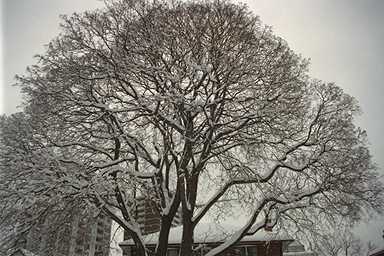 [photo]