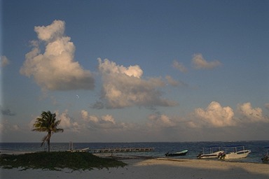 [photo]