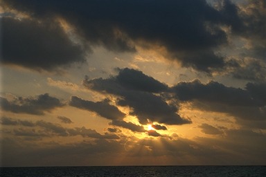 [photo]