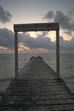 [photo]