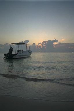 [photo]
