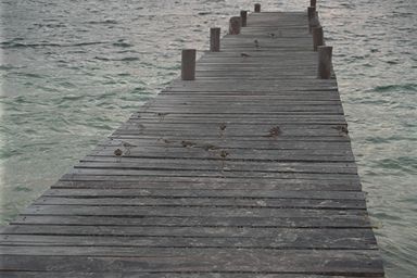 [photo]