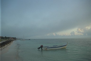 [photo]