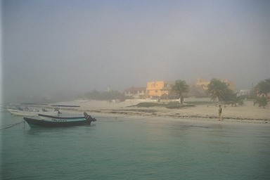 [photo]