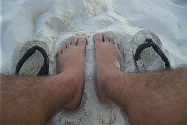 [photo]