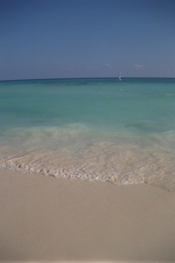 [photo]