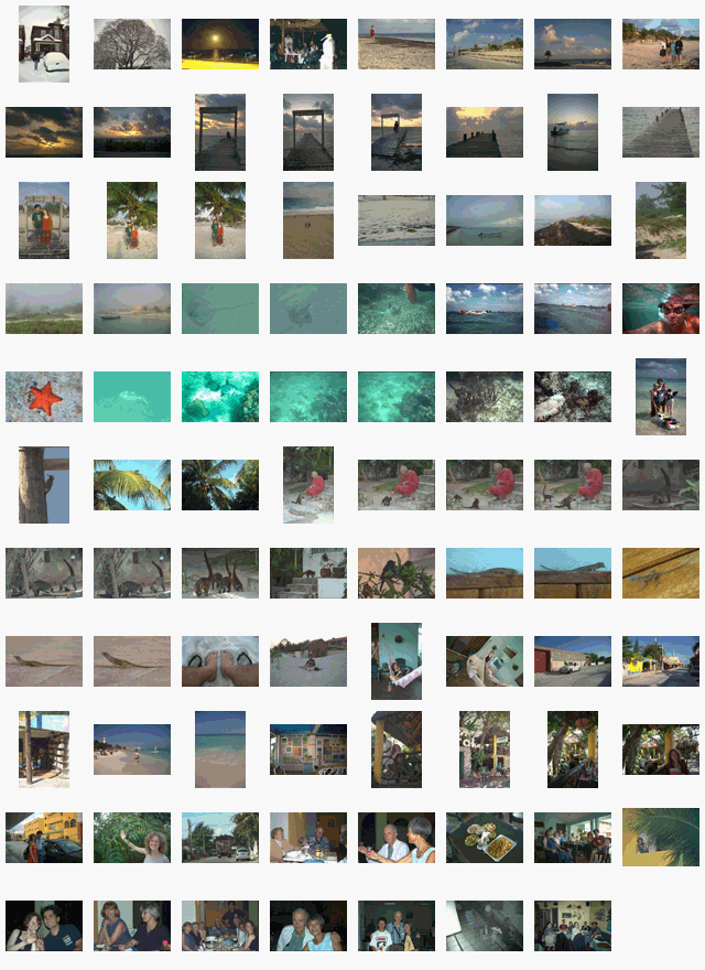 contact sheet