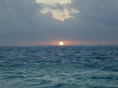[photo]
