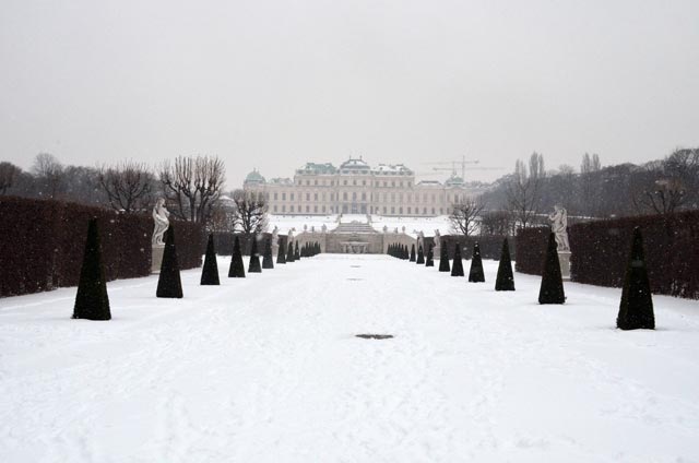 [photo]